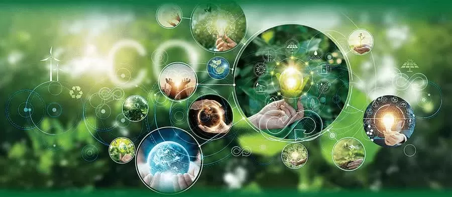 Chìa khóa cho nền kinh tế xanh Chìa khóa cho nền kinh tế xanh