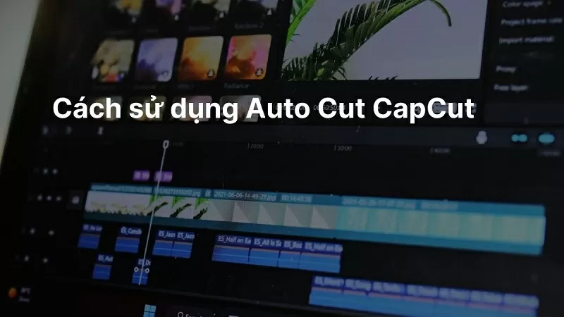 Cách sử dụng Auto Cut CapCut chỉnh sửa video chuyên nghiệp