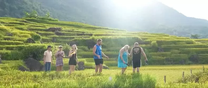 Trong các video clip, cảnh sắc Việt Nam hiện lên như một bức tranh thiên nhiên rực rỡ đầy màu sắc. (Ảnh chụp màn hình)