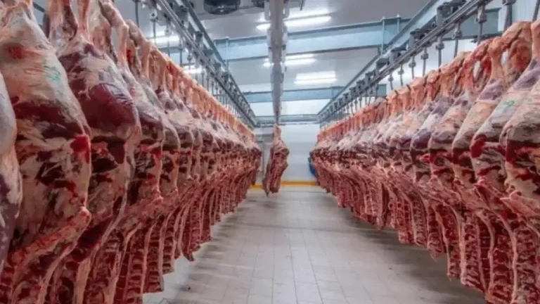 Quốc gia quy định tiêu chuẩn thịt nhập khẩu gắt gao nhất thế giới