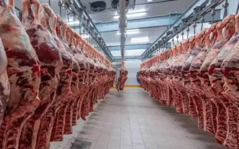 Sau khi nhận đơn đăng ký xuất khẩu, DVS và Sở Phát triển Hồi giáo sẽ kiểm tra từng nhà máy tại nước sở tại của các sản phẩm thịt và gia cầm trong đơn. (Nguồn: Shutterstock) Sau khi nhận đơn đăng ký xuất khẩu, DVS và Sở Phát triển Hồi giáo sẽ kiểm tra từng nhà máy tại nước sở tại của các sản phẩm thịt và gia cầm trong đơn. (Nguồn: Shutterstock)