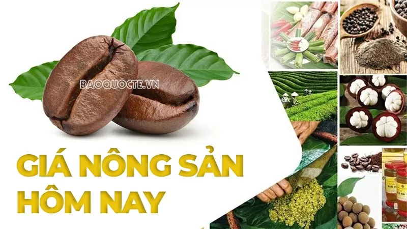 Giá nông sản hôm nay 10/3/2026