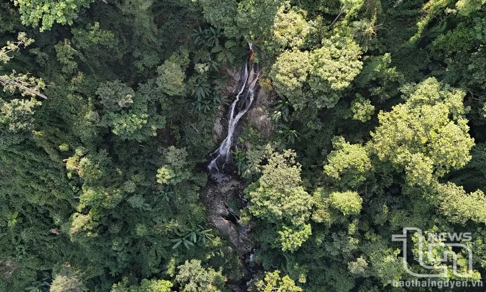 Vườn quốc gia Tam Đảo - Thiên đường xanh giữa mây ngàn