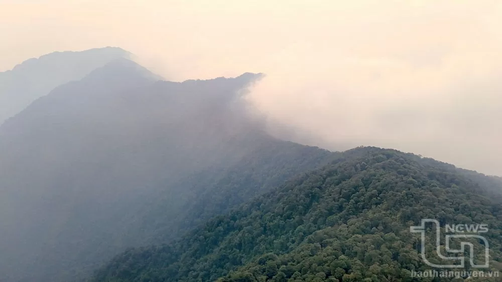 Vườn quốc gia Tam Đảo - Thiên đường xanh giữa mây ngàn