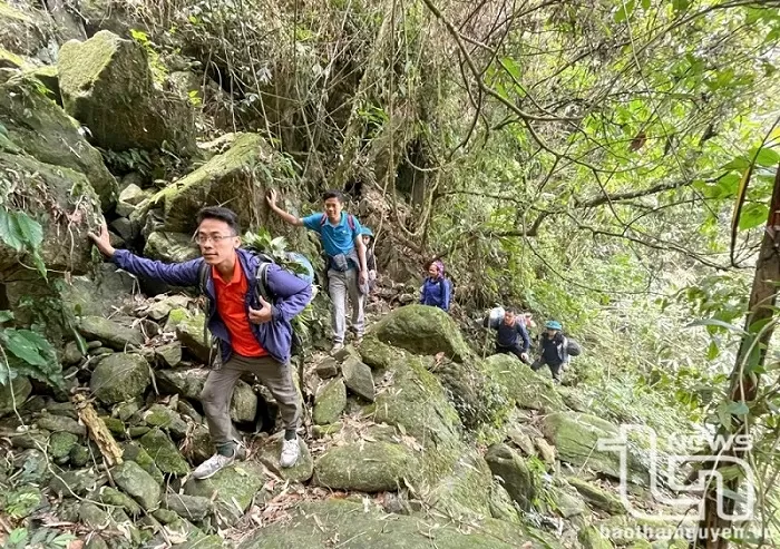 Vườn quốc gia Tam Đảo - Thiên đường xanh giữa mây ngàn