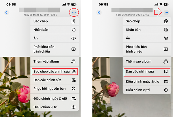 Sao chép và dán chỉnh sửa ảnh Sao chép và dán chỉnh sửa ảnh