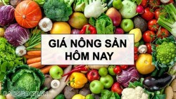 Giá nông nghiệp 17/12/2025: Giá cà phê chưa thấy đáy, tâm lý thị trường khó đảo chiều, Tiêu tăng; Trung Quốc nới lỏng thuế nhập khẩu thịt từ EU