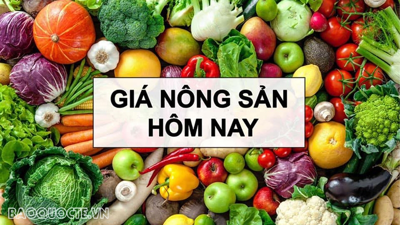 gia nong san hom nay 1172025 gia ca phe robusta roi tu do gia tieu giang co my ap thue brazil 50