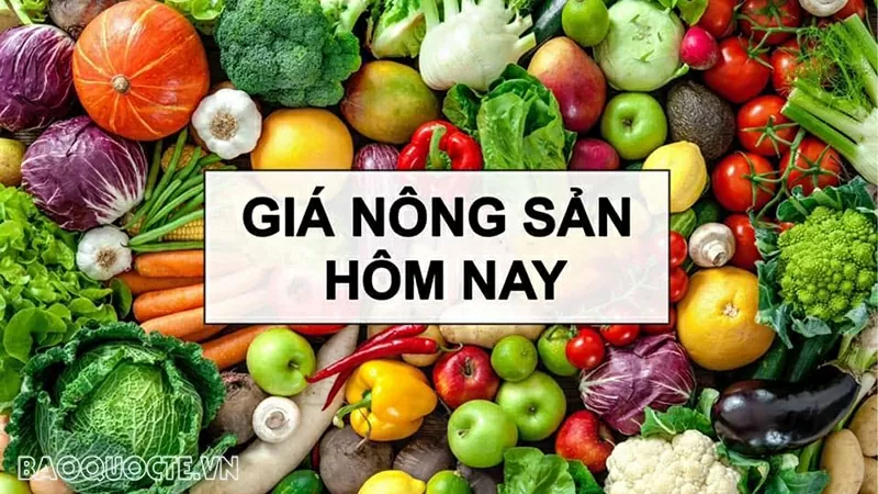 Giá nông sản hôm nay 13/7/2026: Giá cà phê
