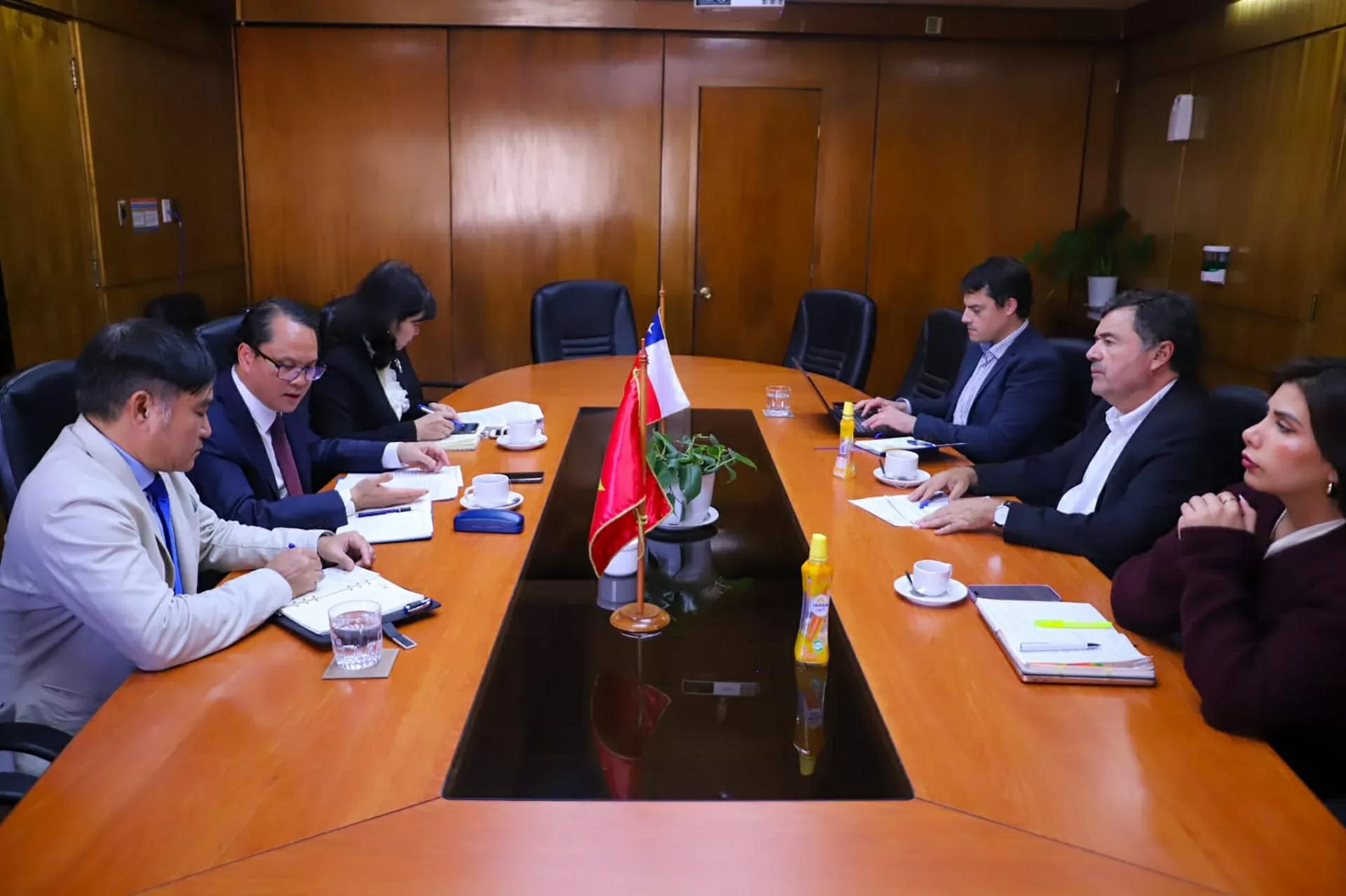 Việt Nam-Chile thúc đẩy trao đổi thương mại và hợp tác nông nghiệp Việt Nam-Chile thúc đẩy trao đổi thương mại và hợp tác nông nghiệp