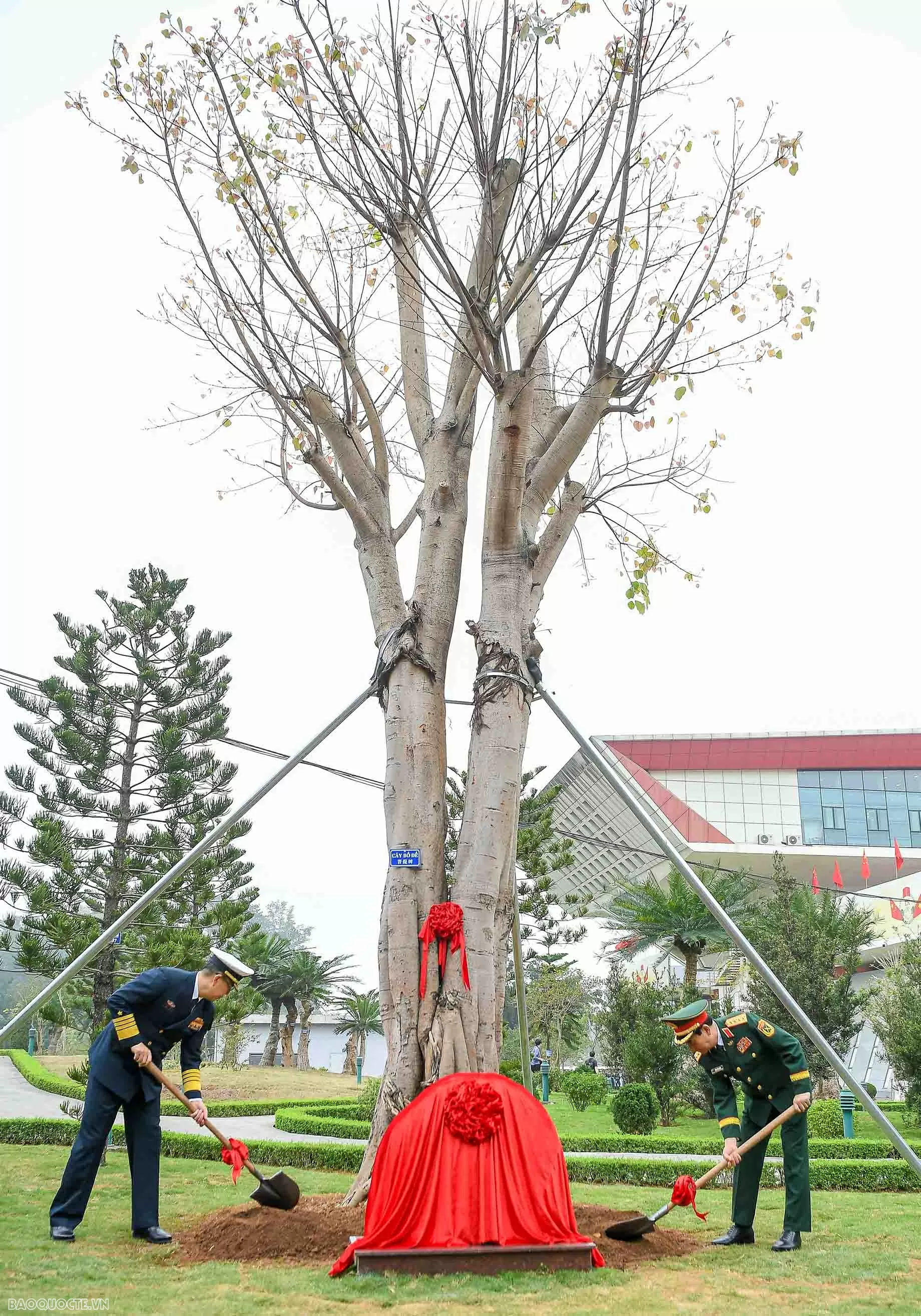 Bộ trưởng Quốc phòng Việt Nam và Trung Quốc trồng cây tại biên giới hai nước