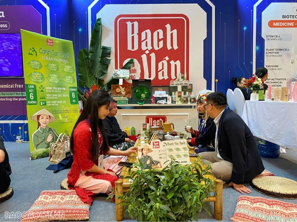 Triển lãm Tăng trưởng xanh P4G: Nơi kiến tạo những giải pháp đột phá cho phát triển bền vững