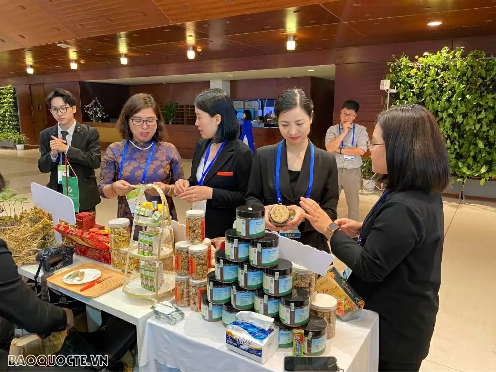 Triển lãm Tăng trưởng xanh P4G: Nơi kiến tạo những giải pháp đột phá cho phát triển bền vững