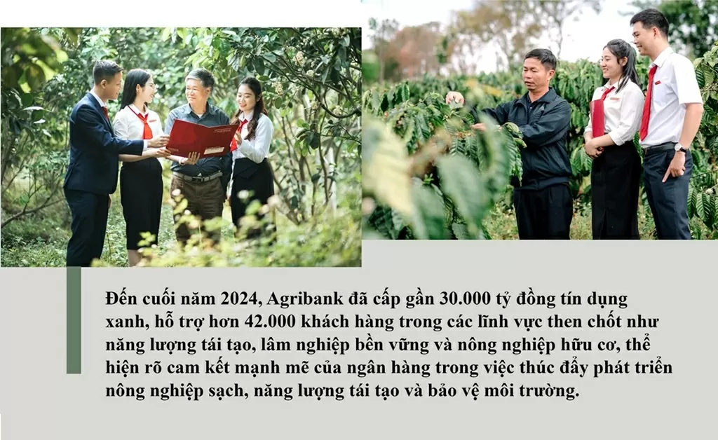 Nhiều năm liền, Agribank dành nguồn vốn ưu đãi tài trợ các dự án đầu tư thuộc lĩnh vực xanh đồng hành cùng doanh nghiệp thực hiện thành công các dự án xanh mang lại nguồn lợi cho đất nước, hướng đến phát triển bền vững.