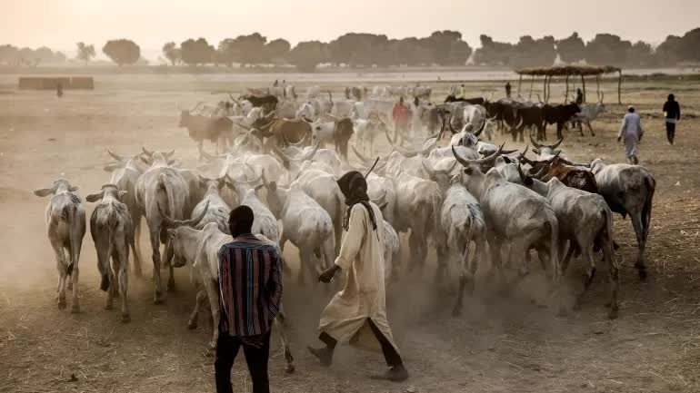 Giao tranh đẫm máu tại Nigeria, ít nhất 56 người thiệt mạng