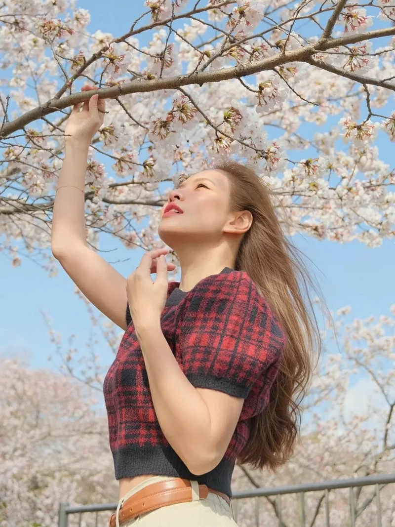 Sao Việt: Sao Việt: