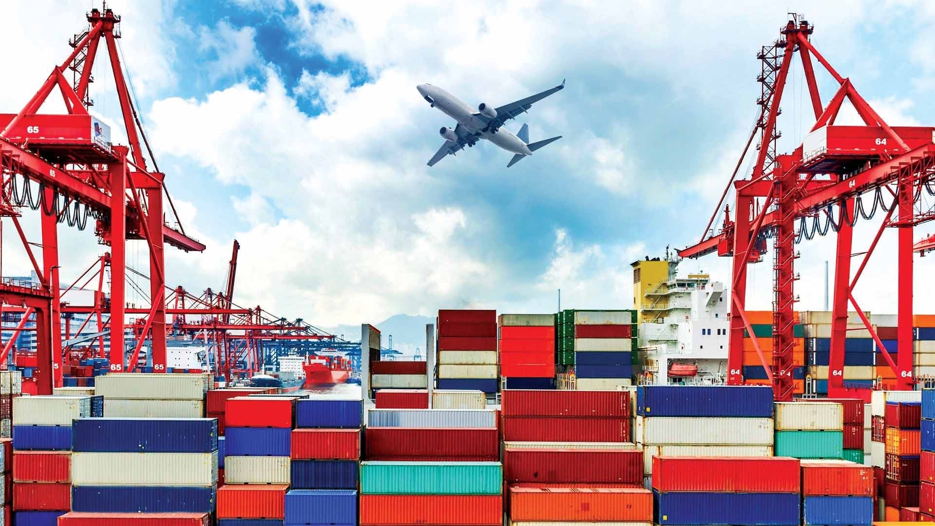 hoa giai thue doi ung