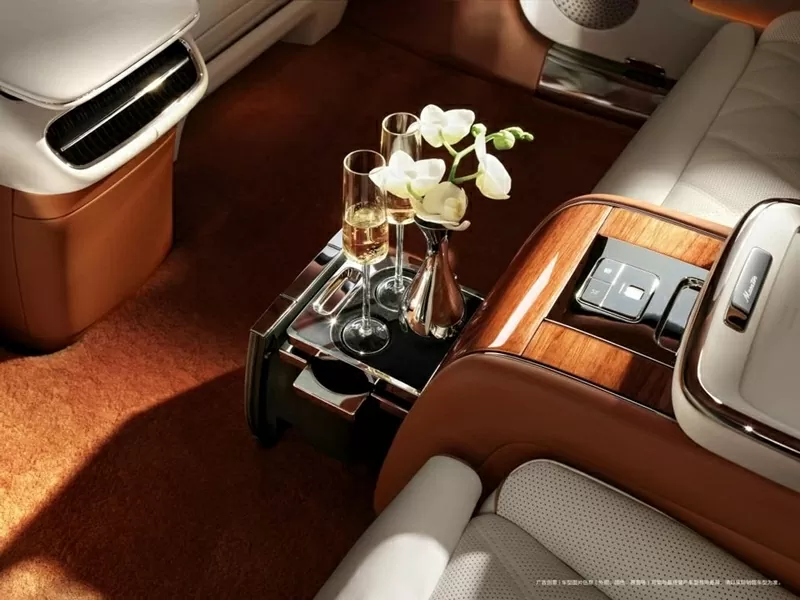 Khoang ghế sau của Maextro S800 mới thực sự dành cho ông chủ