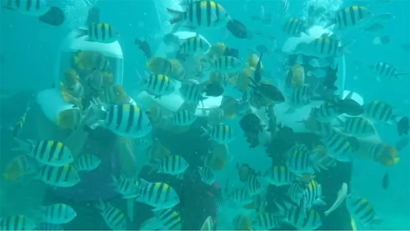 Lặn biển với mũ bảo hiểm tại Philippines: Du lịch mạo hiểm đang phát triển mạnh. (Nguồn: Anita Rao Kashi)