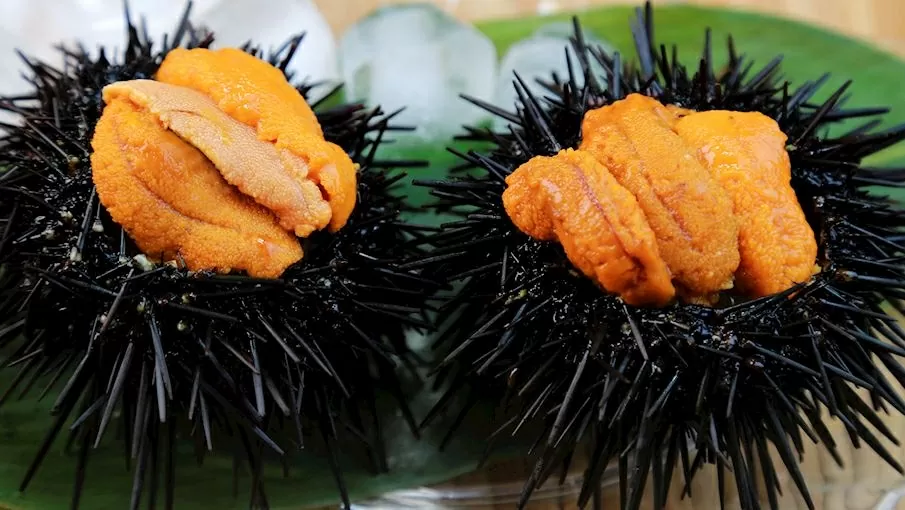 Du lịch Nhật Bản: Khám phá hương vị ẩm thực đặc sắc xứ Phù Tang