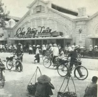 Nhà báo Hungary viết về ngày ’độc nhất vô nhị’ ở Việt Nam