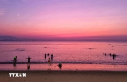 Ninh Thuận khai mạc Tuần Văn hóa, Thể thao, Du lịch và Ẩm thực năm 2025