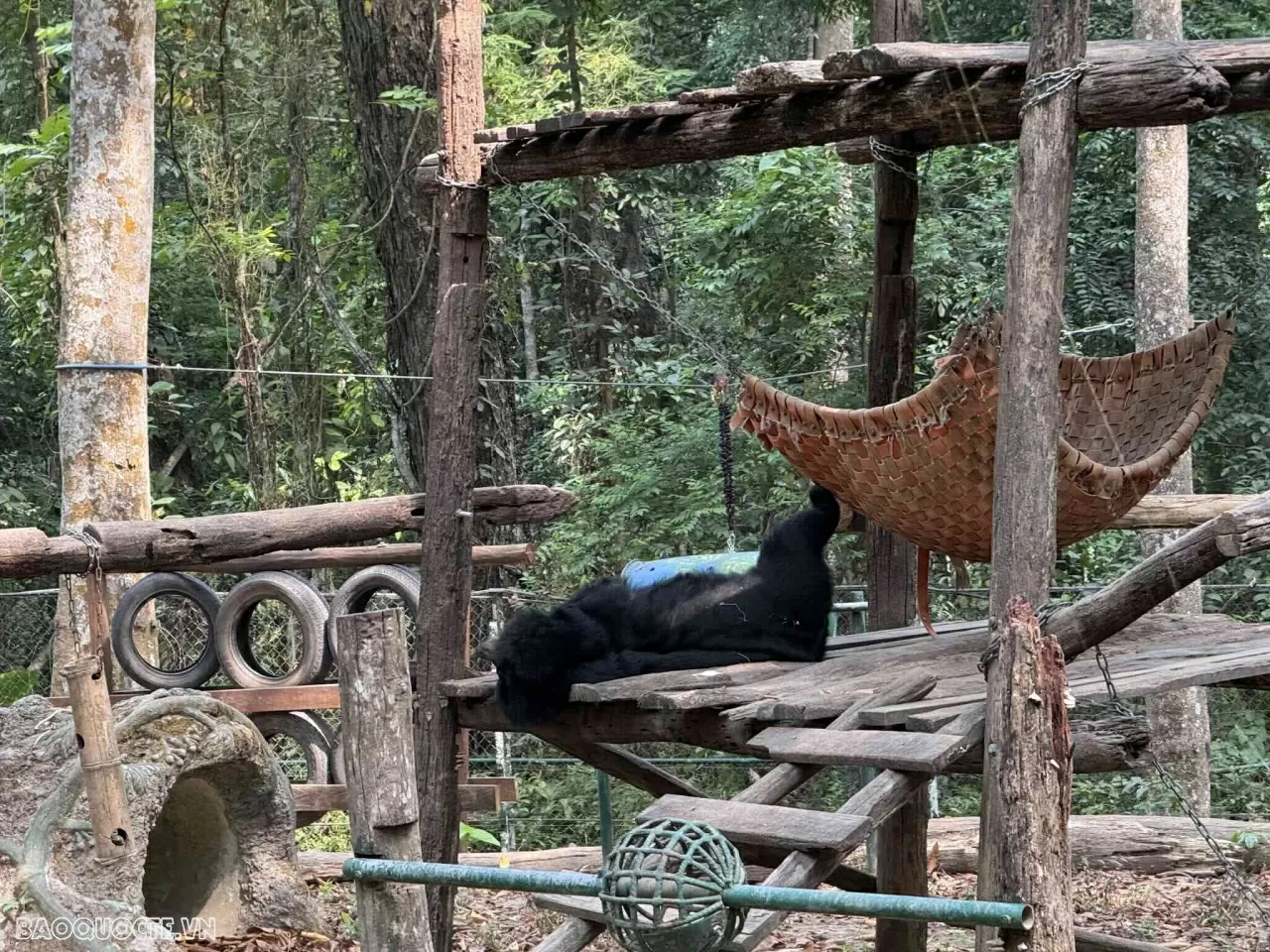 Lang thang ở Luang Prabang