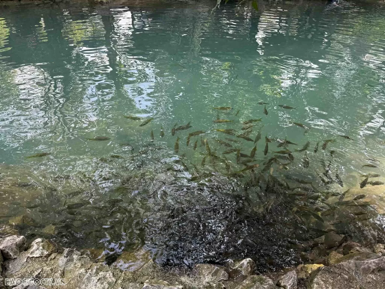 Vang Vieng (Lào): Bức tranh đồng quê sống động của đất nước triệu voi Vang Vieng (Lào): Bức tranh đồng quê sống động của đất nước triệu voi