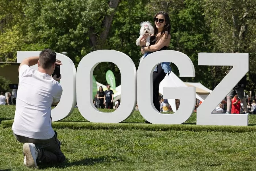 Hàng trăm chú chó dachshund săn đuổi kỷ lục ở Hungary