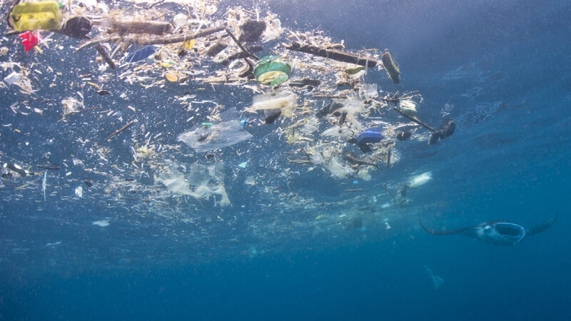 Nồng độ vi nhựa ở vùng cửa sông, ven biển cao hơn 30 lần so với ngoài khơi