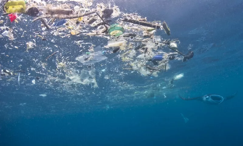 Nồng độ vi nhựa ở vùng cửa sông, ven biển cao hơn 30 lần so với ngoài khơi Nồng độ vi nhựa ở vùng cửa sông, ven biển cao hơn 30 lần so với ngoài khơi