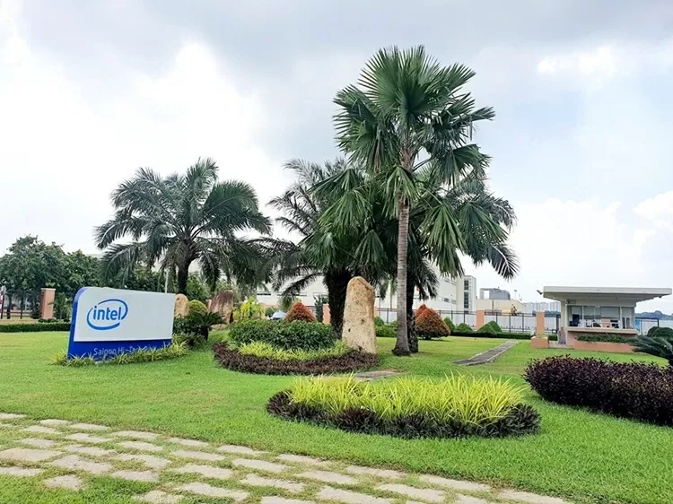 TP. Hồ Chí Minh đón 'trái ngọt' từ hành trình đầy quyết tâm