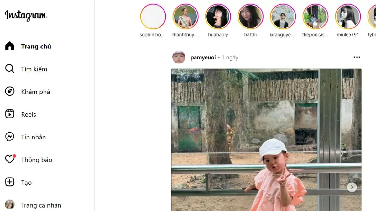 Vào trang web Instagram Vào trang web Instagram
