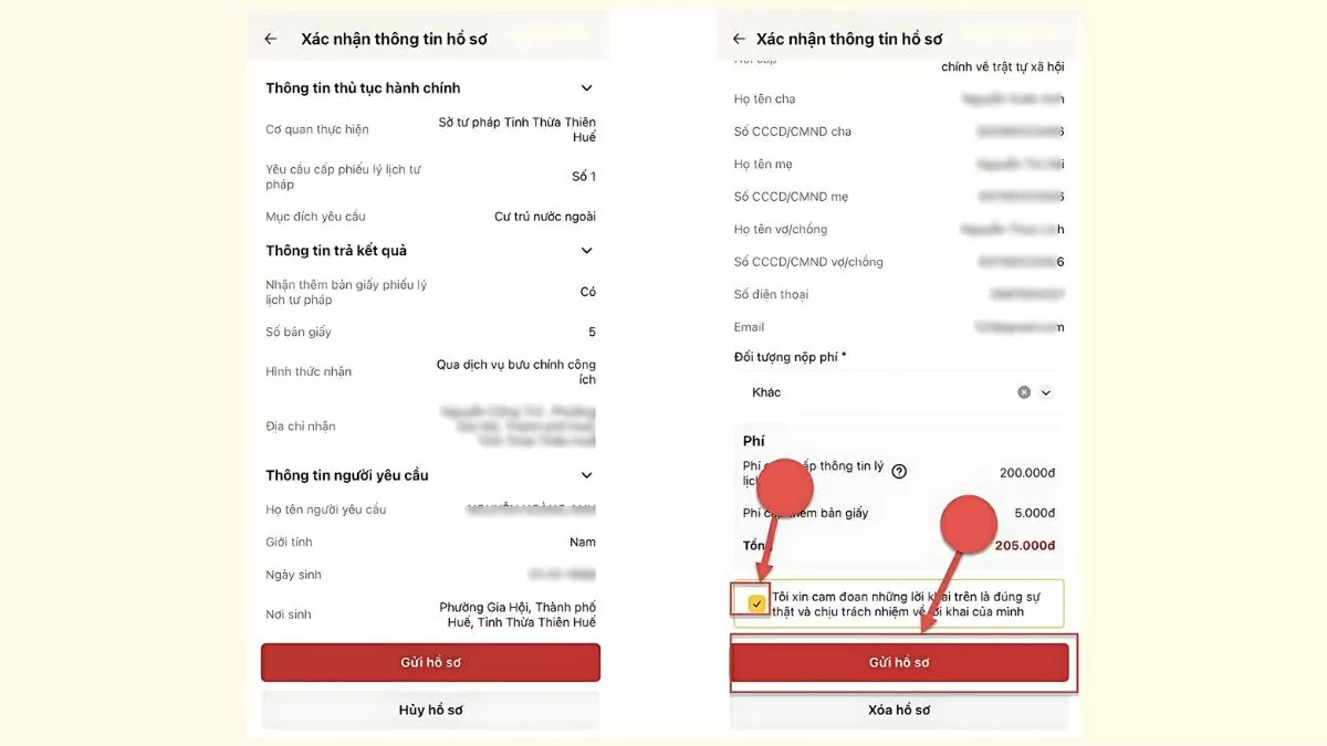 Tích vào ô cam kết rồi nhấn “Gửi hồ sơ”