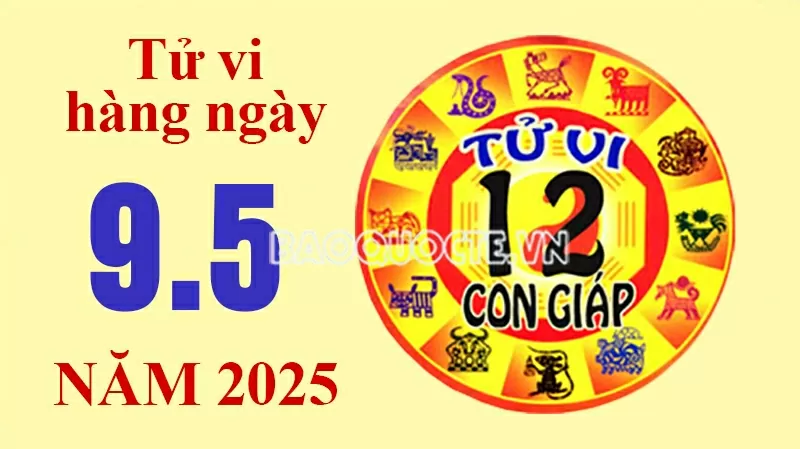 Tử vi hôm nay, xem tử vi 12 con giáp hôm nay ngày 9/5/2025: