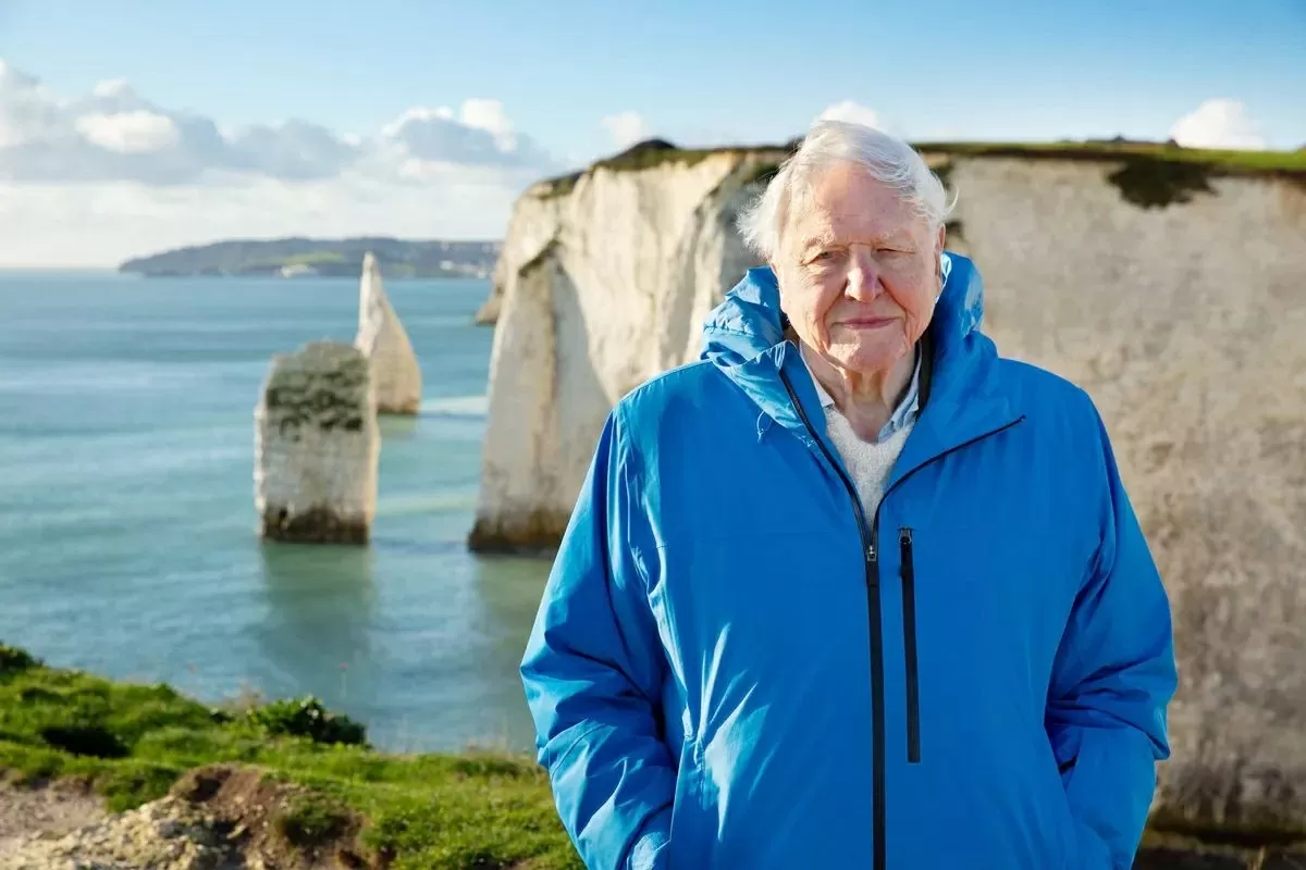 Nhà khoa học 99 tuổi tiết lộ bí quyết sống khỏe nhờ cắt giảm 1 món quen thuộc Nhà khoa học 99 tuổi tiết lộ bí quyết sống khỏe nhờ cắt giảm 1 món quen thuộc