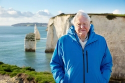 Bí quyết giúp sống khỏe nhờ cắt giảm một món quen thuộc