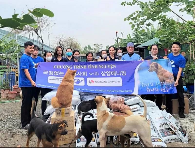 Đội ngũ tình nguyện viên và bác sĩ thú y của Tổ chức thú y không biên giới Hàn Quốc VWB hỗ trợ chăm sóc, điều trị cho chó mèo tại trung tâm.