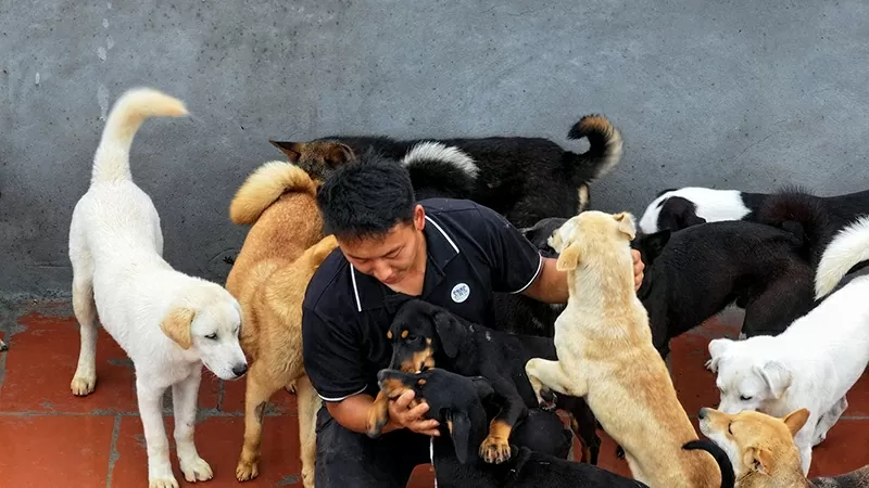Ảnh 2: Anh Mua Mì Say thường chơi đùa cùng với đàn chó mỗi khi chăm sóc các bạn (Ảnh:NVCC).