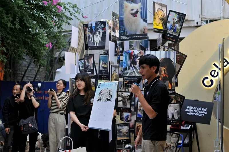 Sân Nhà Nhiều Chó – Mái ấm tình thương