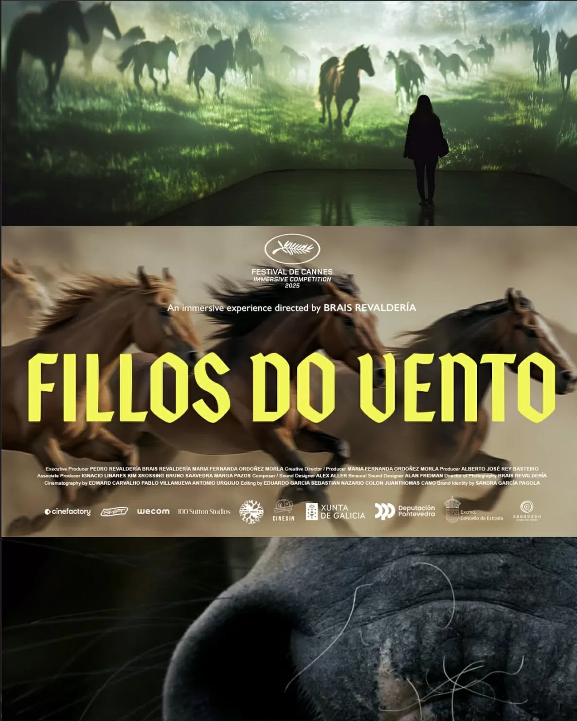 Liên hoan phim Cannes 2025: Tôn vinh huyền thoại và lan tỏa thông điệp nhân văn Liên hoan phim Cannes 2025: Tôn vinh huyền thoại và lan tỏa thông điệp nhân văn