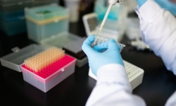 Trung Quốc: Các ca bệnh Covid-19 có xu hướng gia tăng nhẹ, mức thấp