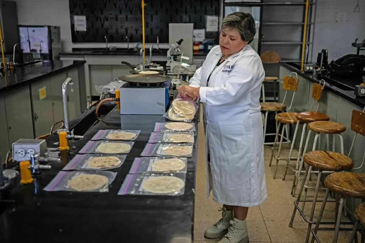 Các nhà khoa học Mexico phát triển bảo quản bánh Tortilla cho những người không có tủ lạnh Các nhà khoa học Mexico phát triển bảo quản bánh Tortilla cho những người không có tủ lạnh