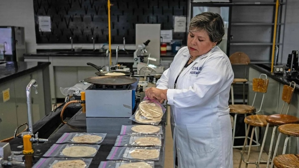 nha khoa hoc mexico phat trien bao quan banh tortilla cho nhung nguoi khong co tu lanh