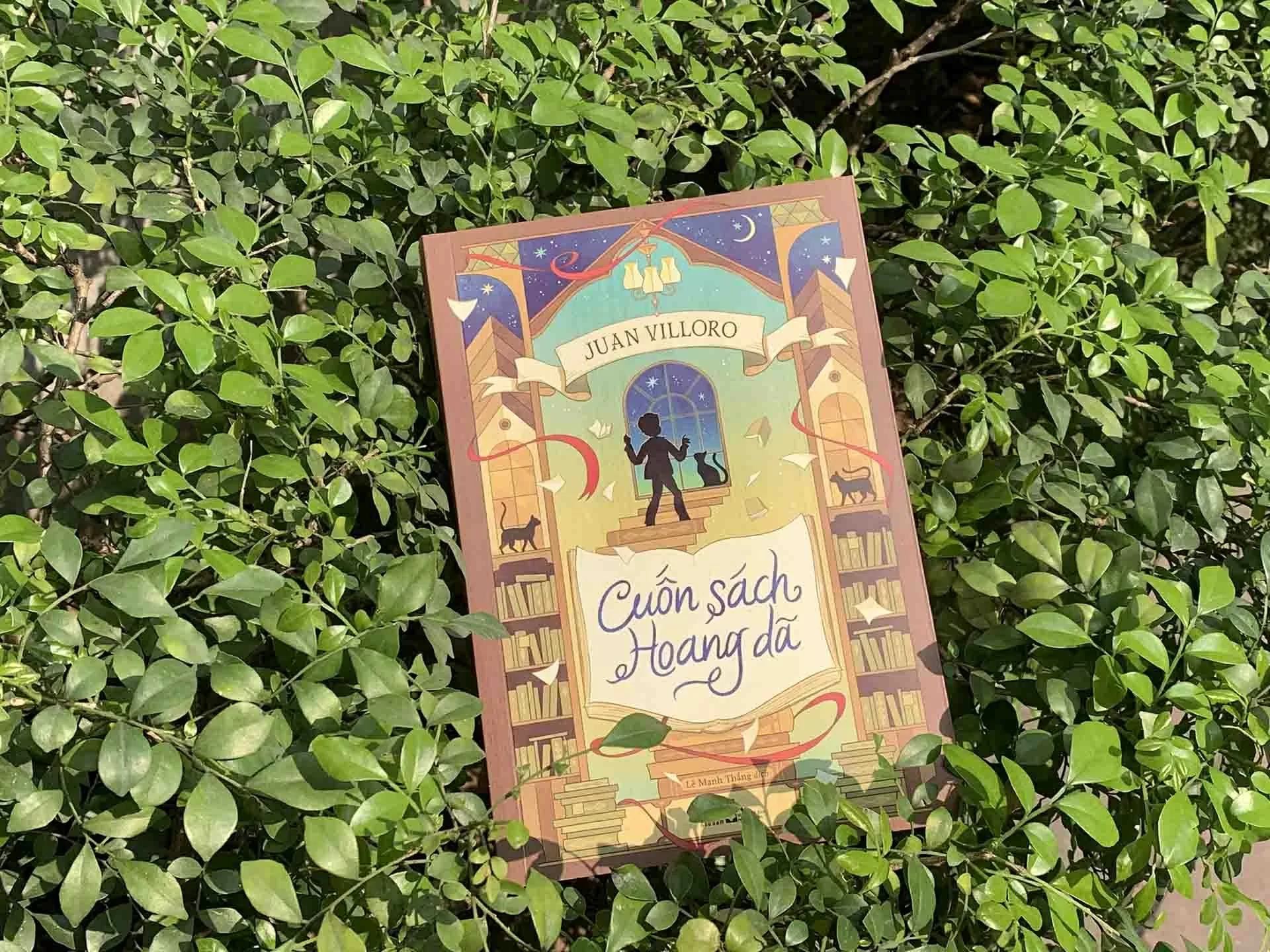 Bắc cầu văn hóa Việt Nam-Mexico