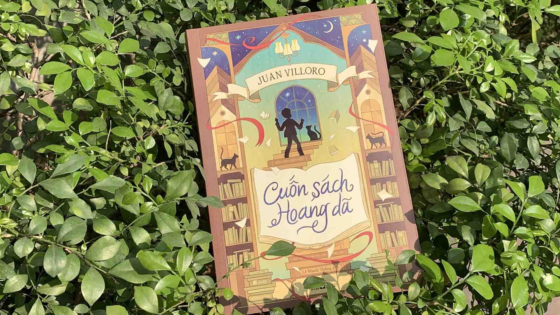 bac cau van hoa viet nam mexico