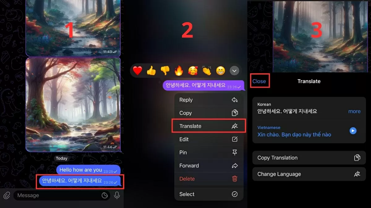 Cách sử dụng tính năng dịch tin nhắn trên Telegram.