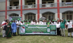 Tư tưởng ngoại giao Hồ Chí Minh là di sản vô giá của dân tộc Việt Nam