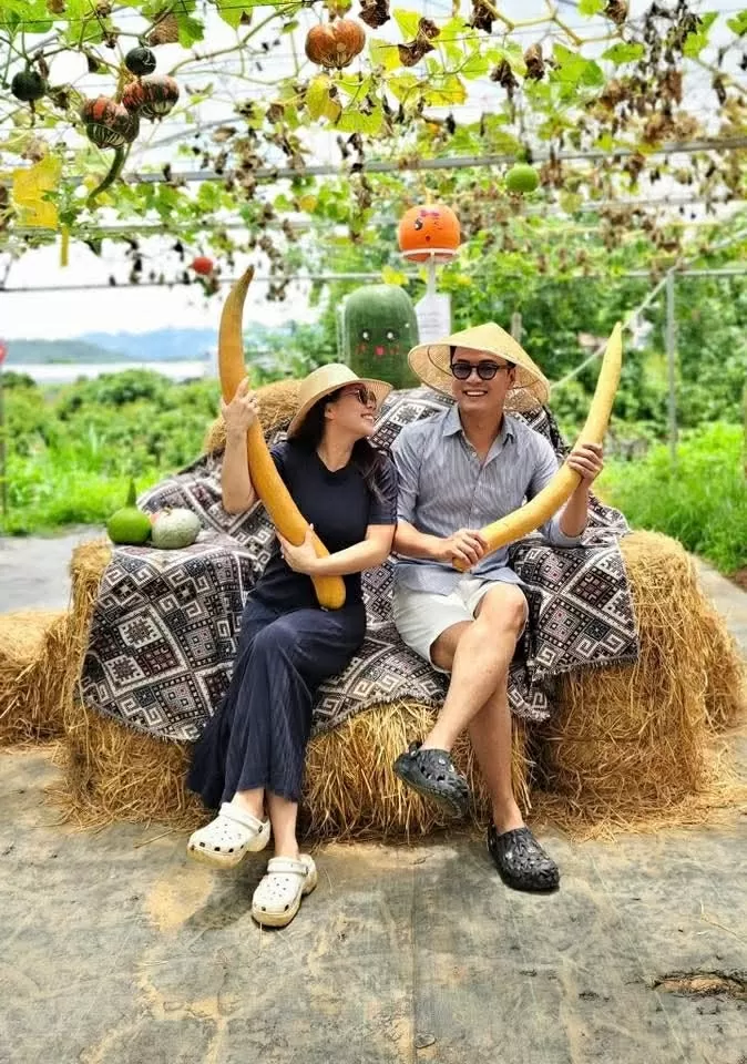 Sao Việt Sao Việt