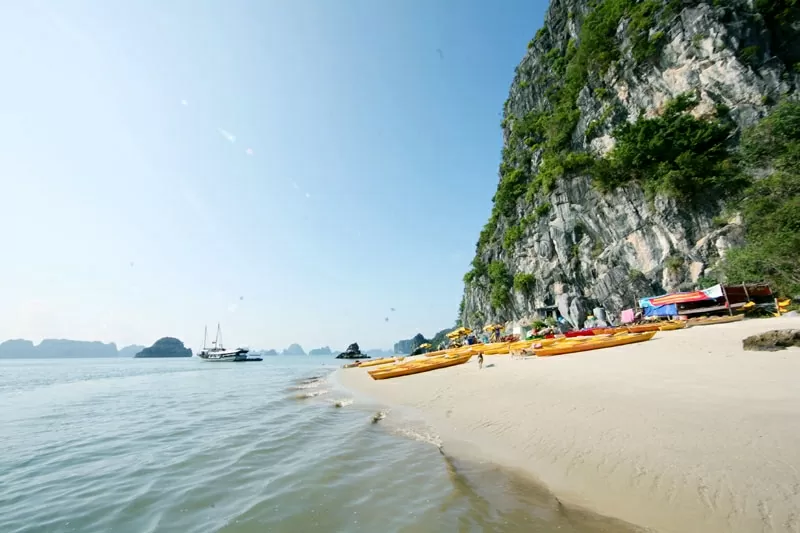 Hòn Cỏ - ‘ốc đảo xanh’ giữa vùng lõi Vịnh Hạ Long Hòn Cỏ - ‘ốc đảo xanh’ giữa vùng lõi Vịnh Hạ Long